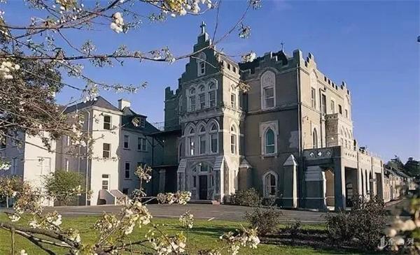 深度解析新加坡博伟教育学院国际学生比例分析：多元文化氛围浓厚，学习环境极具吸引力